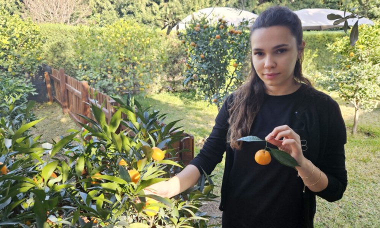 Türkiye'nin en ilginç meyveleri bu bahçede yetişiyor: Buda'nın eli, havyar limonu....