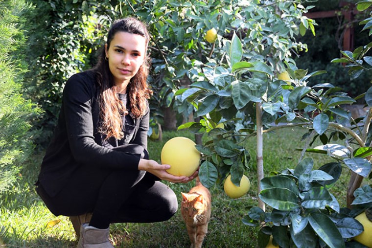 Türkiye'nin en ilginç meyveleri bu bahçede yetişiyor: Buda'nın eli, havyar limonu....