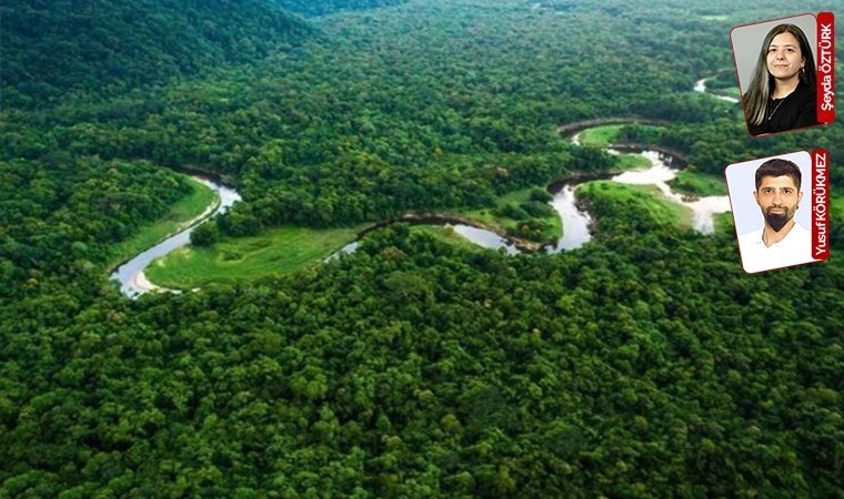 Kuzey ormanlarını rahat bırakmıyorlar, 8 türbin daha yapılacak: Santral giderek büyüyor