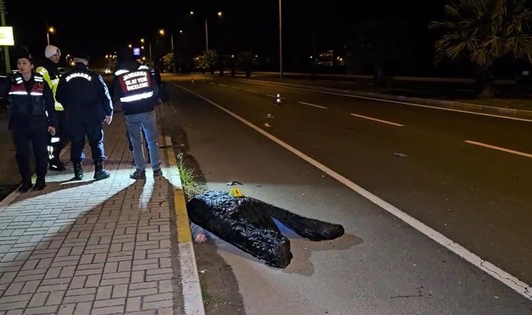 Kardeşini korumak istedi: Hayatını kaybetti