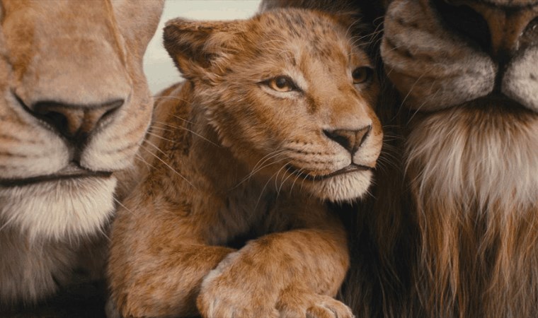 Şımarık, Düzen, Mufasa: Aslan Kral, Akıldan Kalbe ve daha fazlası... İşte bu haftanın filmleri!