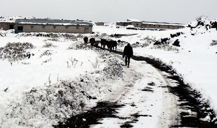 Iğdır'da zorlu mesai:  2 bin 700 rakımda besliyorlar