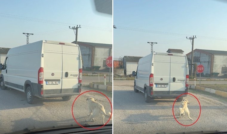 Saniye saniye görüntülendi: Köpeği aracın arkasına bağlayıp çekti!