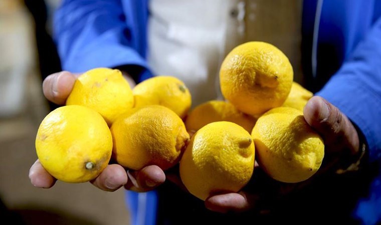 Türkiye'de 'pestisitli limon' krizi!