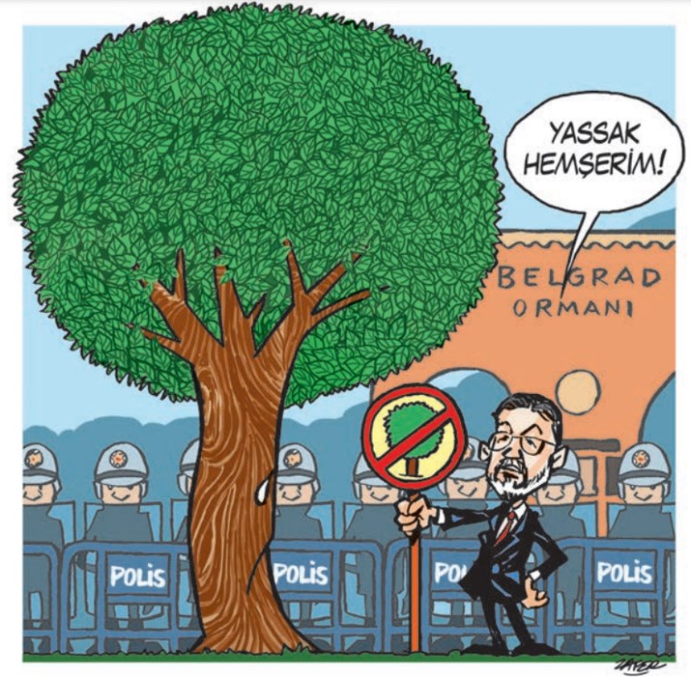 Zafer Temoçin : İğneli Fırça