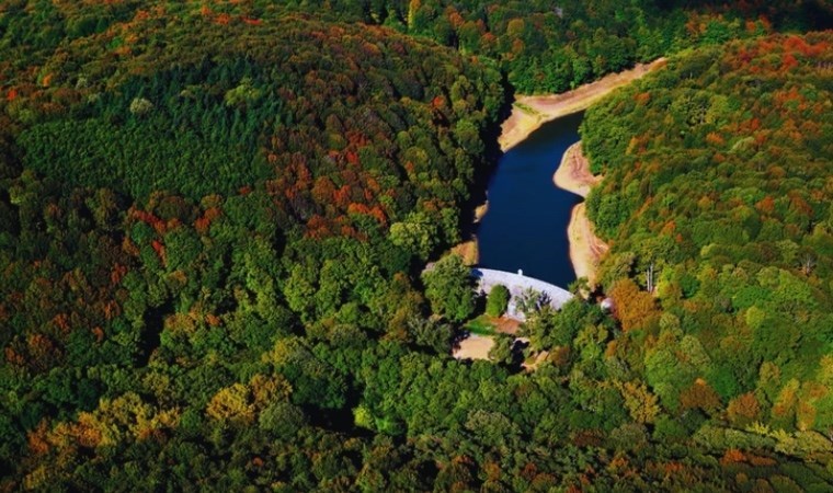 Belgrad Ormanları yapılaşmaya mı açılacak?