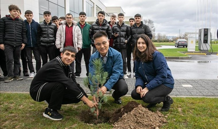 Hyundai Assan Kocaeli'de 10 bin fidan dikti