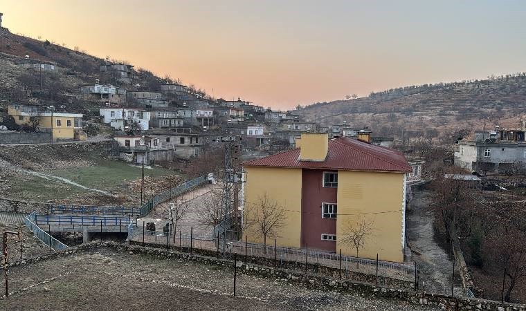 Adıyaman'da bir köyde kuduz alarmı... Karantinaya alındı!