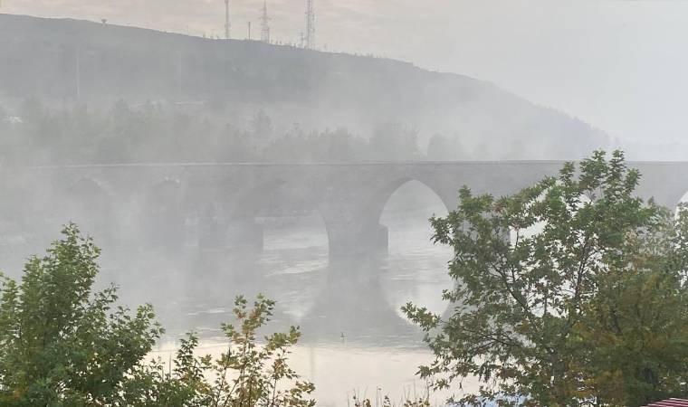 Diyarbakır'da sis etkisi... Uçak seferleri aksadı