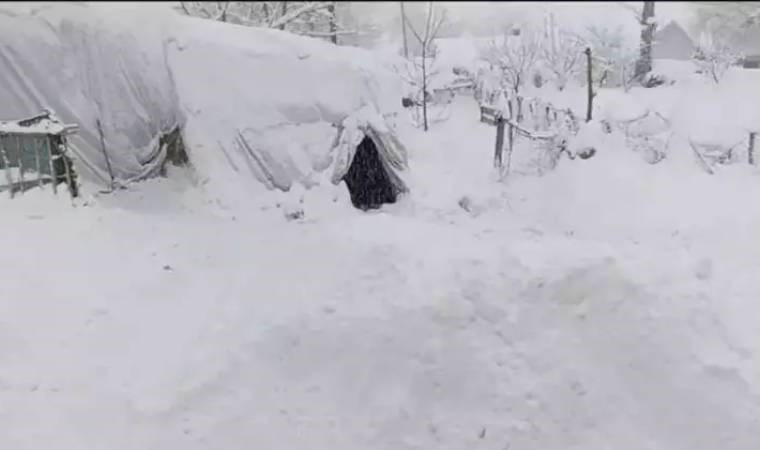 Van'da kar kalınlığı 35 santimetreyi buldu