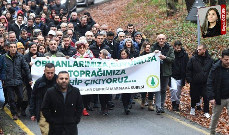 Belgrad Ormanı’na dokunma: 'Belgrad Ormanı’nın korunacağının garantisini bize kim verebilir?'