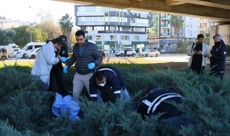 Antalya'da dehşet: Koku korkunç gerçeği ortaya çıkardı!