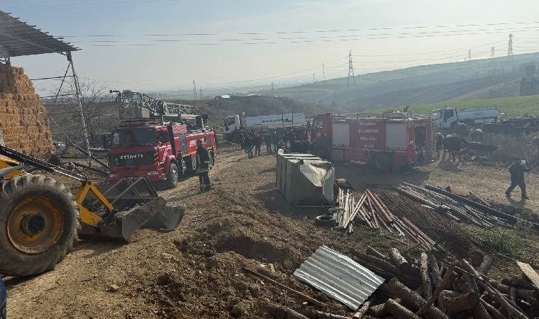 Çanakkale'de çiftlik yangını: 5 hayvan öldü, 1 çoban yaralandı!