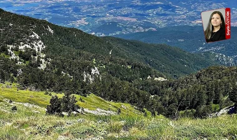 Mahkemenin iptal ettiği proje büyüyerek onay aldı! Şirket JES’ten vazgeçmiyor