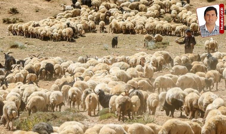 ‘Çare üreticiye destek’