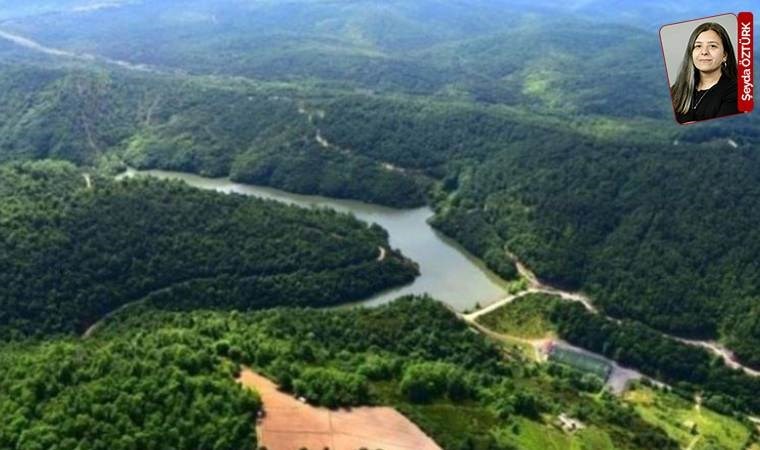 Megakentin hava ve su kaynağı Kuzey Ormanları’nda talan büyüyor: Ranta doymadılar