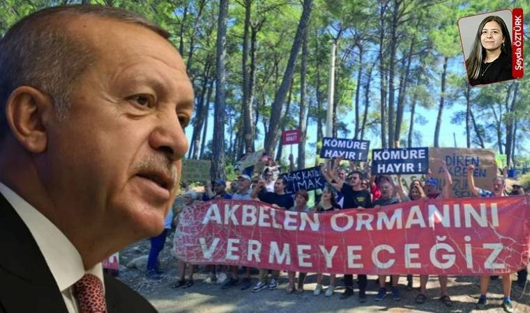 Resmi Gazete’de Akbelen Ormanı ve çevresiyle ilgili acele kamulaştırma kararları yayımlandı