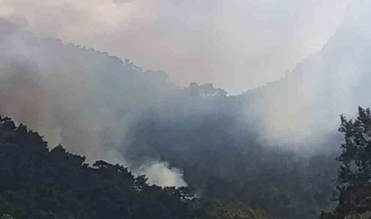 Son dakika... Antalya Kemer'de orman yangını! Müdahale devam ediyor...