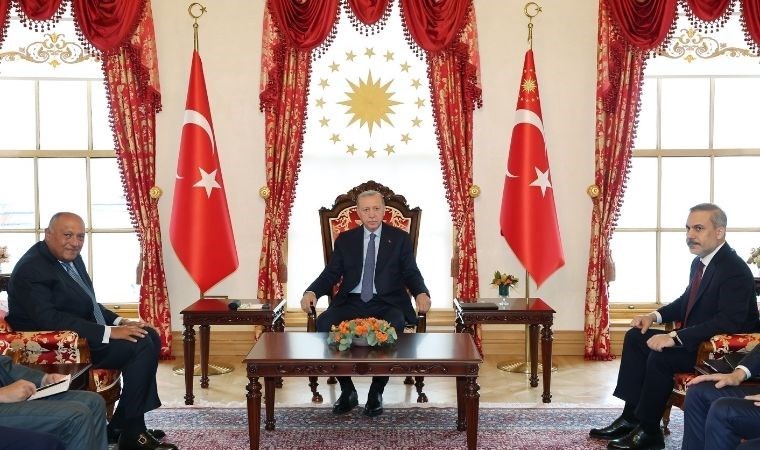 AKP'li Cumhurbaşkanı Erdoğan Mısır Dışişleri Bakanı Samih Şukri'yi kabul etti