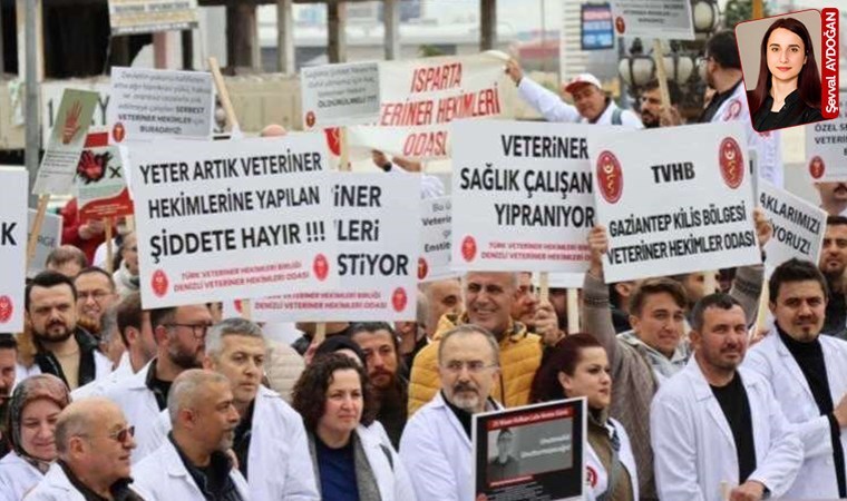 Veteriner hekimler hakları için Ankara’da