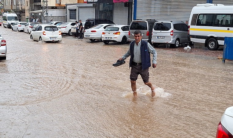 Adana'da sağanak ve fırtına: Ağaçlar devrildi, yollar suyla doldu