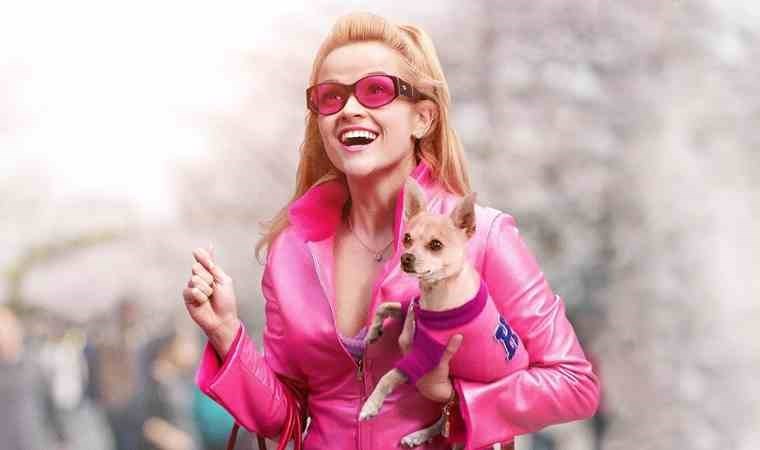 'Legally Blonde' dizisi geliyor...