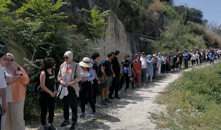 Doğaseverler Halfeti’nin endemik bitkisini aradı