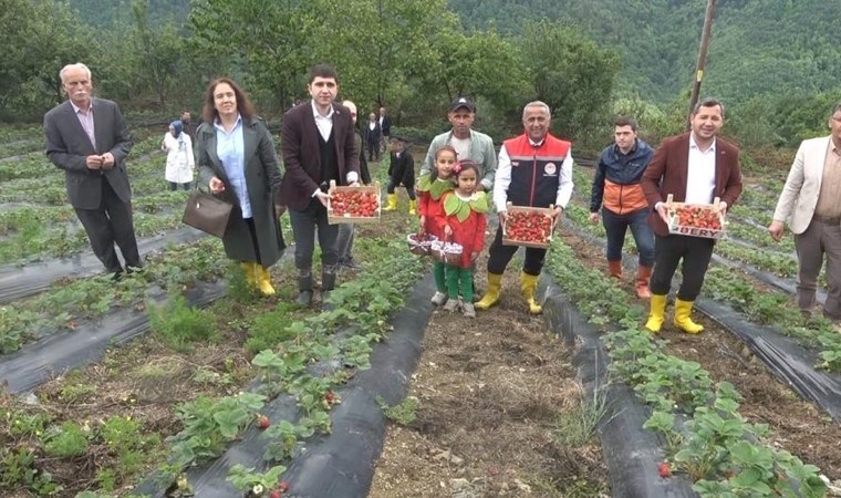 Bin rakımda yetişiyor, üreticisi taleplere yetişemiyor! Hobi olarak ekilmişti şimdi 100 dönümde üretiliyor...