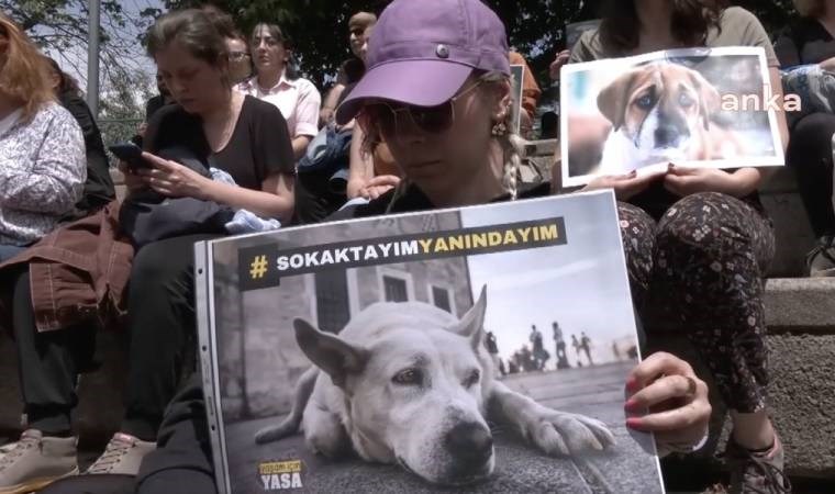 Hayvanseverlerden TBMM önünden tepki: 'Hayvanları hedef gösteremezsiniz'