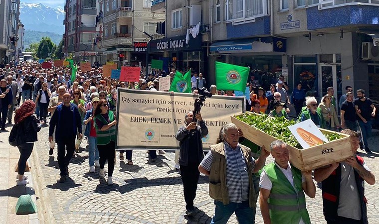 AKP'nin kalesi Rize'de çay alım fiyatına 'tabutlu' protesto