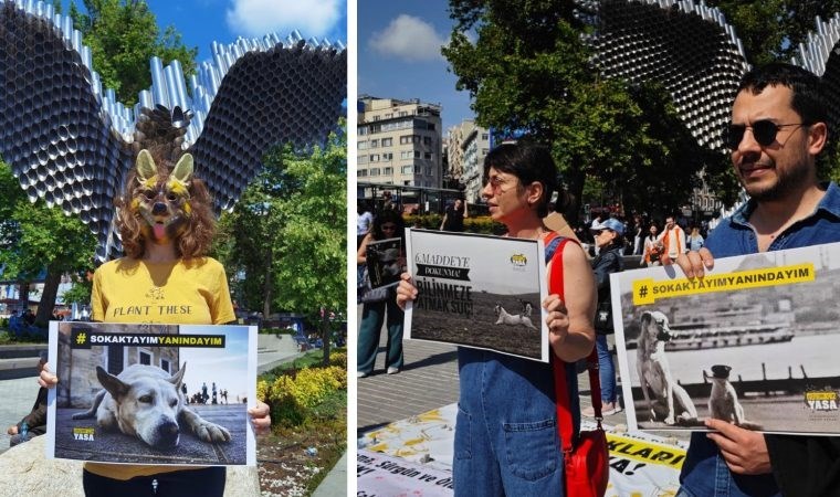 Yaşam İçin Yasa İnisiyatifi Beşiktaş ta sokak hayvanları için eylem