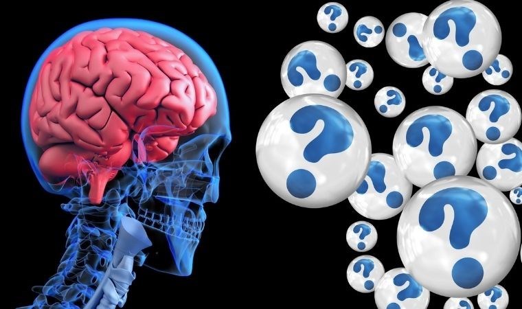 İnsan beyni neden zamanla küçülüyor zekamıza ne oluyor