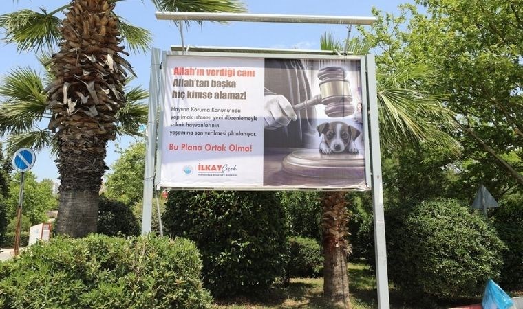 ‘Sokak Hayvanları Koruma Yasası’na billboardlu tepki