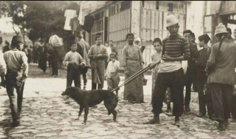 Hayırsızada Katliamı: 80 bin köpek öldürüldü