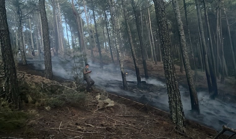 Muğla'da orman yangını!