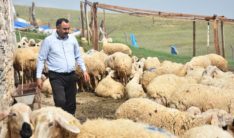 40 bin TL maaşla çoban bulamayan köylüler hayvanlarını satıyor