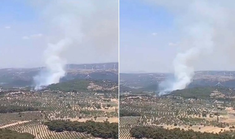 İzmir'de orman yangını... Ekipler müdahale ediyor (10 Haziran 2024)