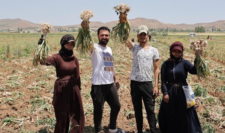 Türkiye'de ilk ve tek: 100 dönüm arazide 200 ton ürün...