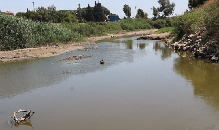 Büyük Menderes'te kuraklık ve kirlilik alarmı!