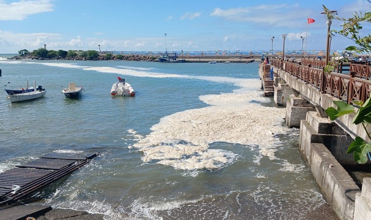 Herkes 'müsilaj' sanmıştı! Karadeniz’deki o 'beyazlığın' nedeni başka çıktı