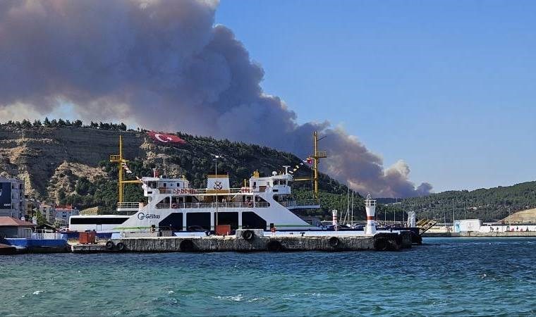 Son Dakika... Çanakkale'de orman yangını!