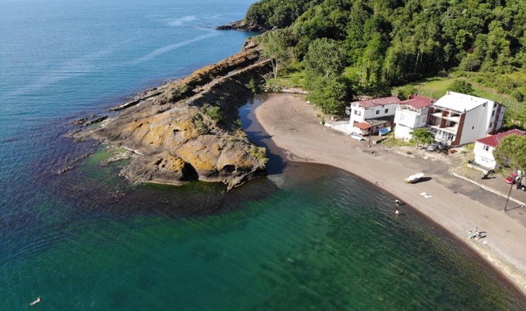 Ordu’nun ‘sakin şehrinde’ bulunuyor: Bu adayı görenler timsah sanıyor