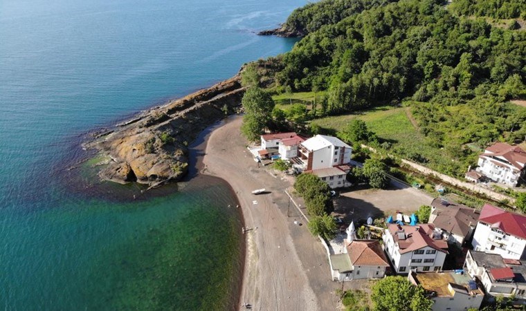 Ordu’nun ‘sakin şehrinde’ bulunuyor: Bu adayı görenler timsah sanıyor