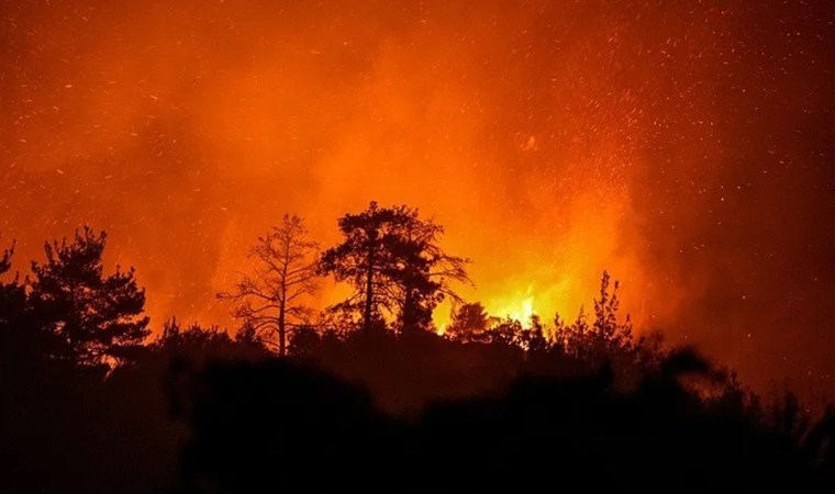 Çanakkale, İzmir, Manisa ve Uşak’ta orman yangını… Bakan Yumaklı açıkladı: 575 hektarlık alan zarar gördü!