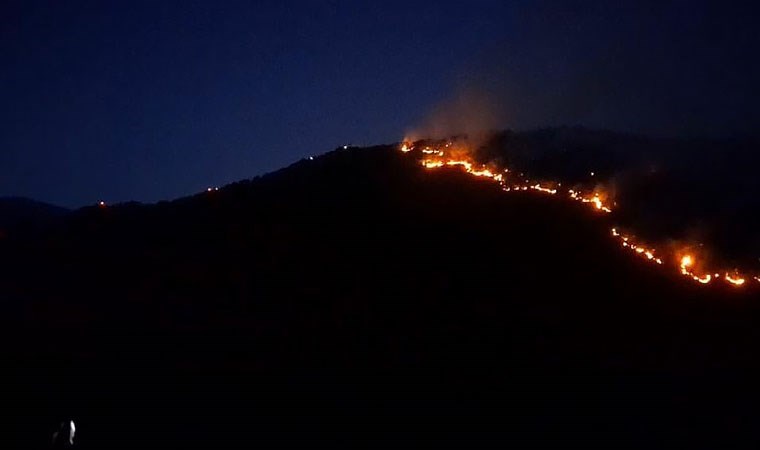 Tren seferleri durduruldu: Manisa’daki yangında ekip sayısı 71’e çıktı