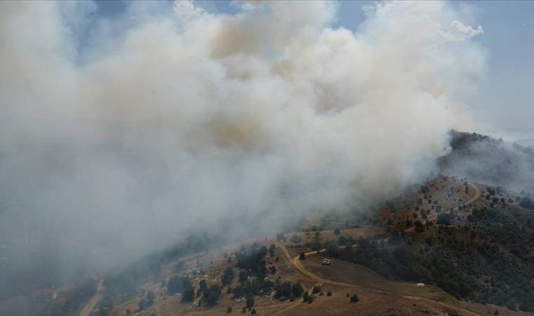 Elazığ’da orman yangını