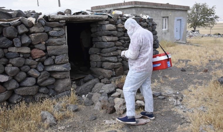 Şanlıurfa'da mahalleye kuduz karantinası