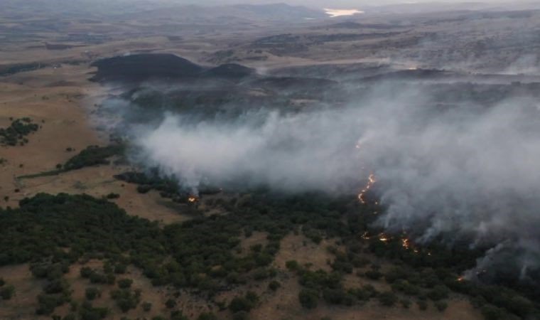 Elazığ'da ormanlık alanda çıkan yangın kontrol altına alındı