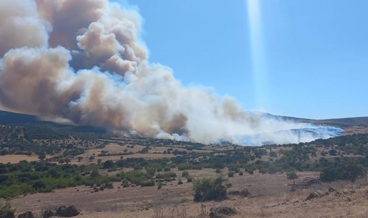 Çanakkale'de orman yangını: 2 köy boşaltıldı