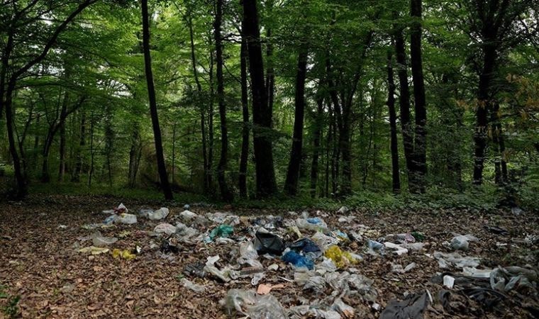 İstanbul'un ormanlık alan ve plajlarında tatilden geriye çöpler kaldı